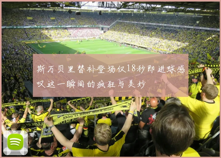 斯万贝里替补登场仅18秒即进球感叹这一瞬间的疯狂与美妙